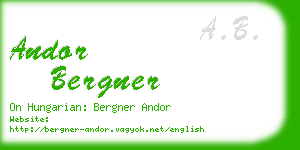 andor bergner business card